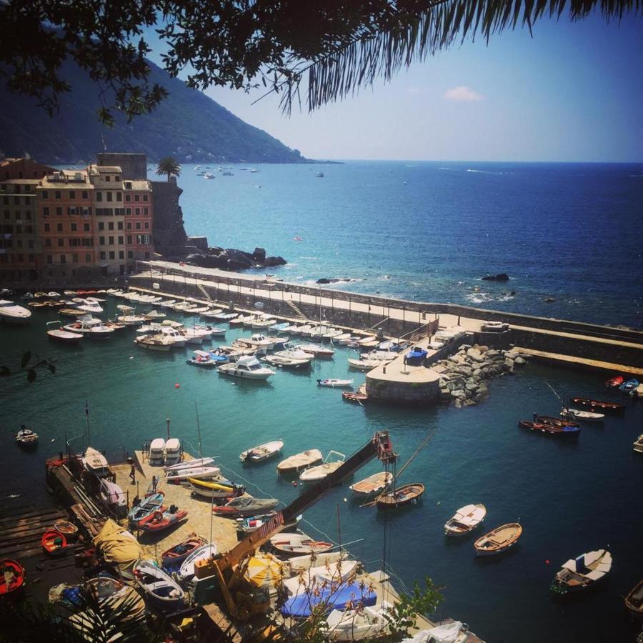 La Casa Della Fiore Camogli Bagian luar foto