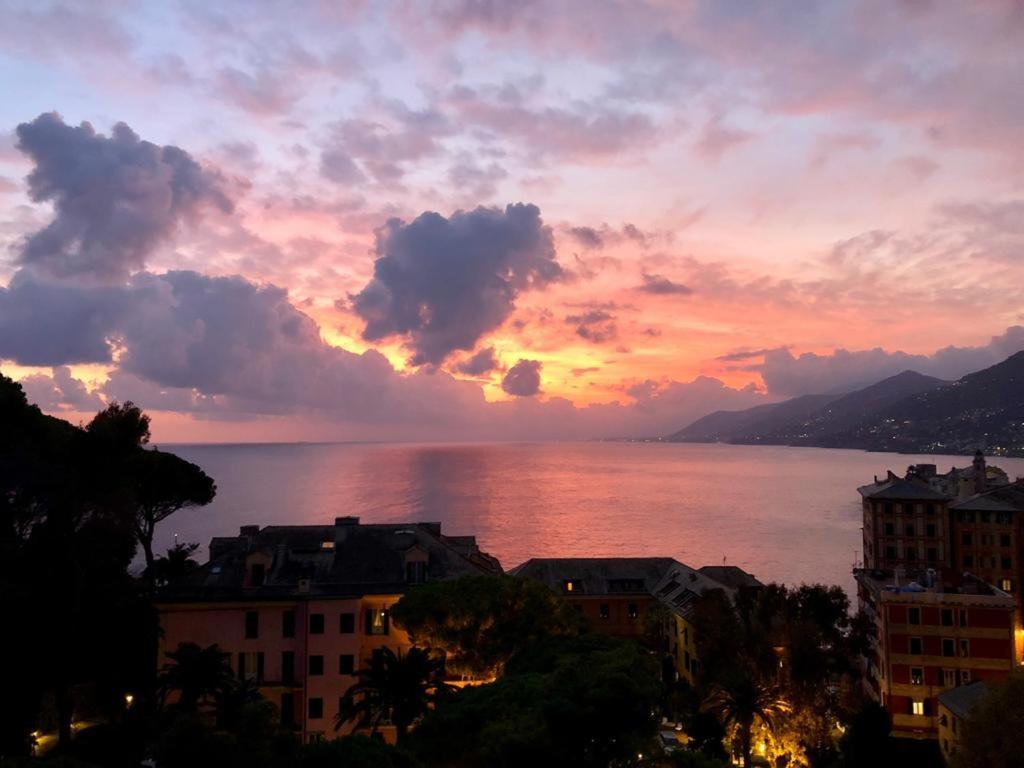 La Casa Della Fiore Camogli Bagian luar foto